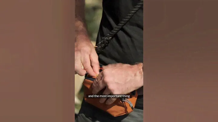 Bellroy Venture Hip Pack | What's in Tom's Hip Pack?
